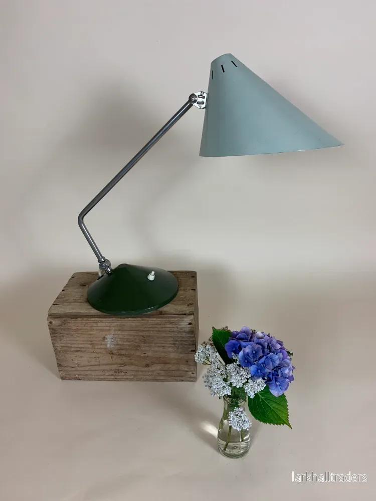 Fin och sällsynt Hala-lampa - Bild 3