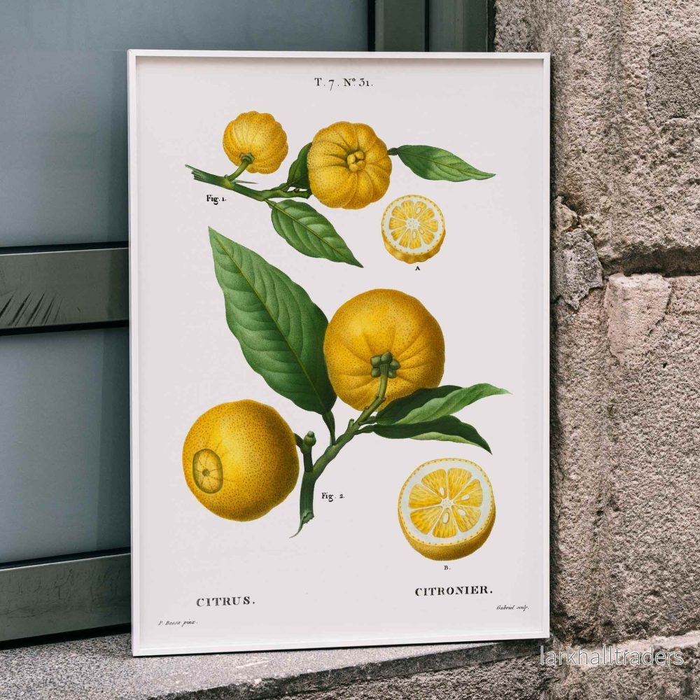 Citrusposter Citrusposter
