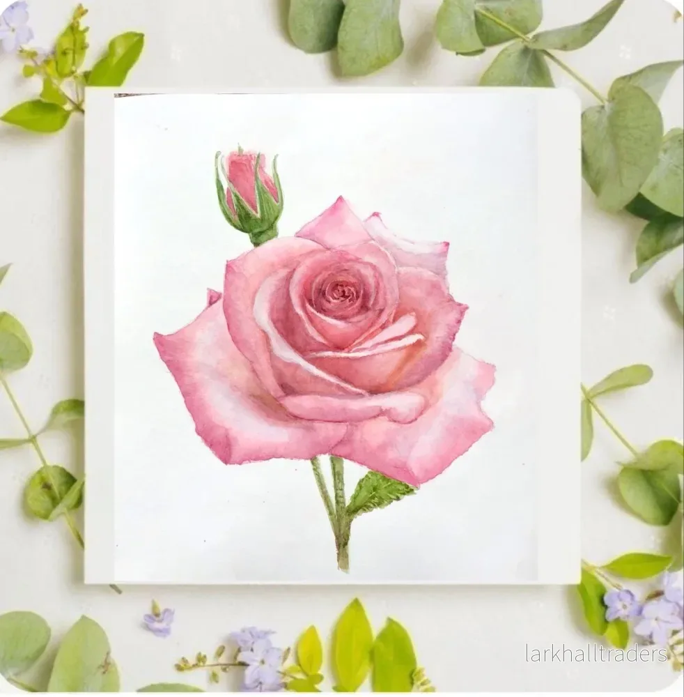 Ny Original akvarell "Pink rose"