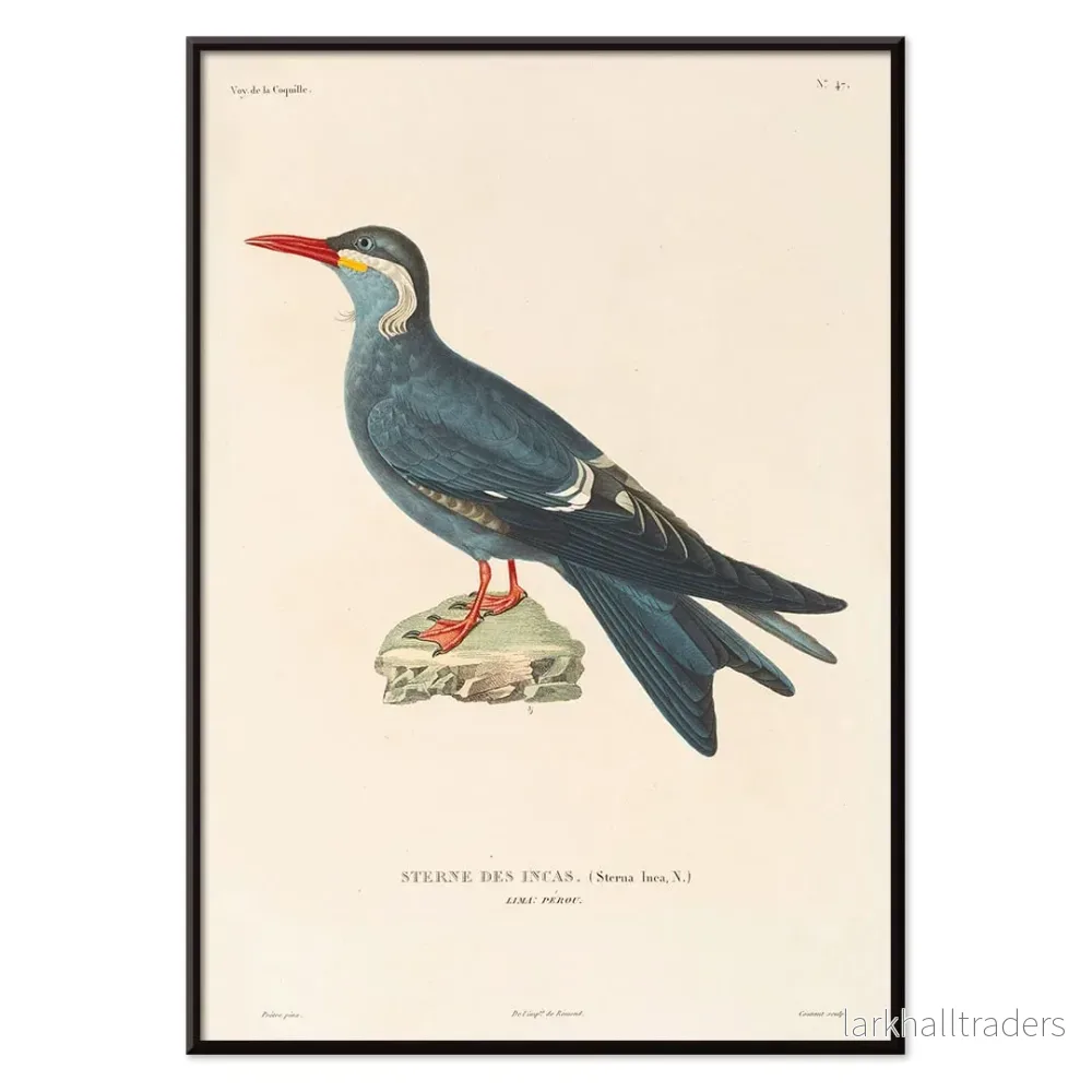 Voyage autour du monde 153 Poster - Bild 2