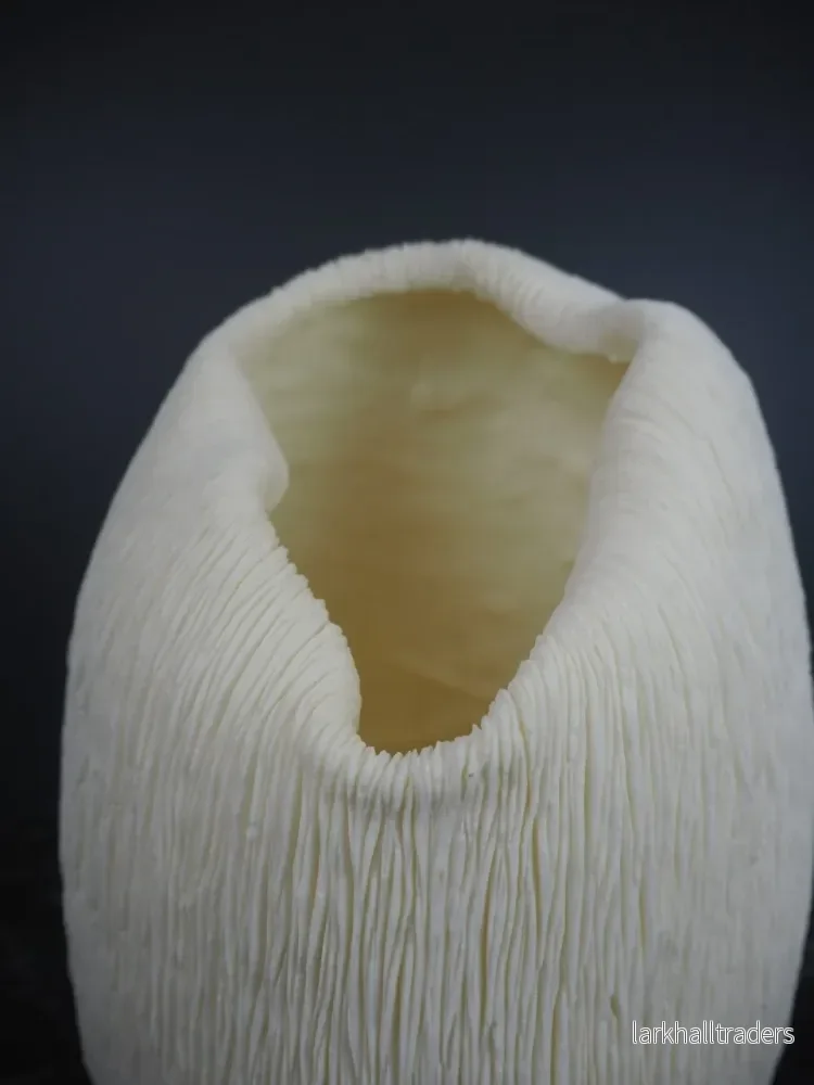 Coral Table Vase - Bild 3