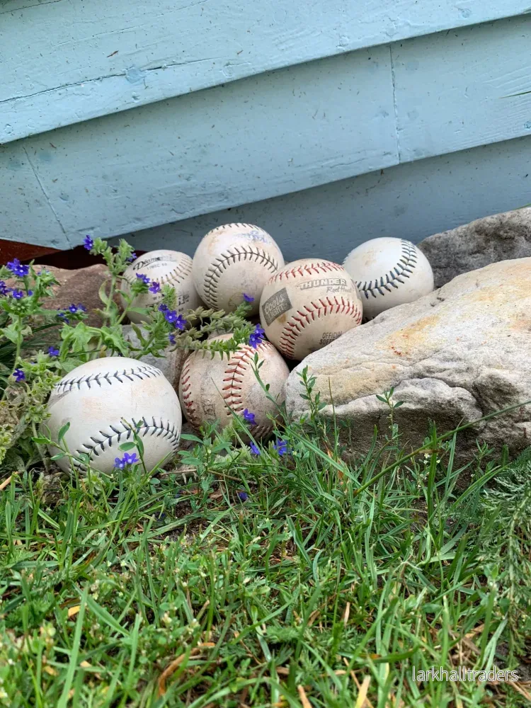Baseboll - Bild 2