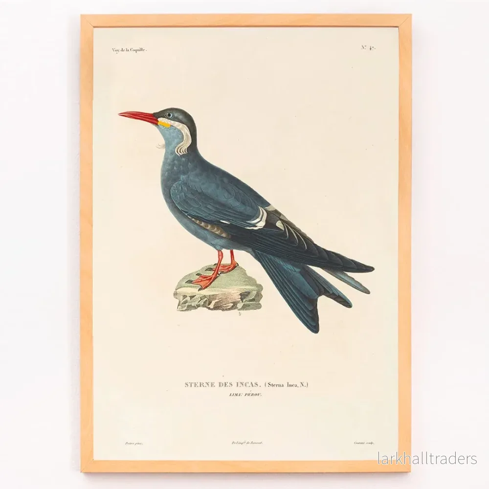Voyage autour du monde 153 Poster - Bild 3