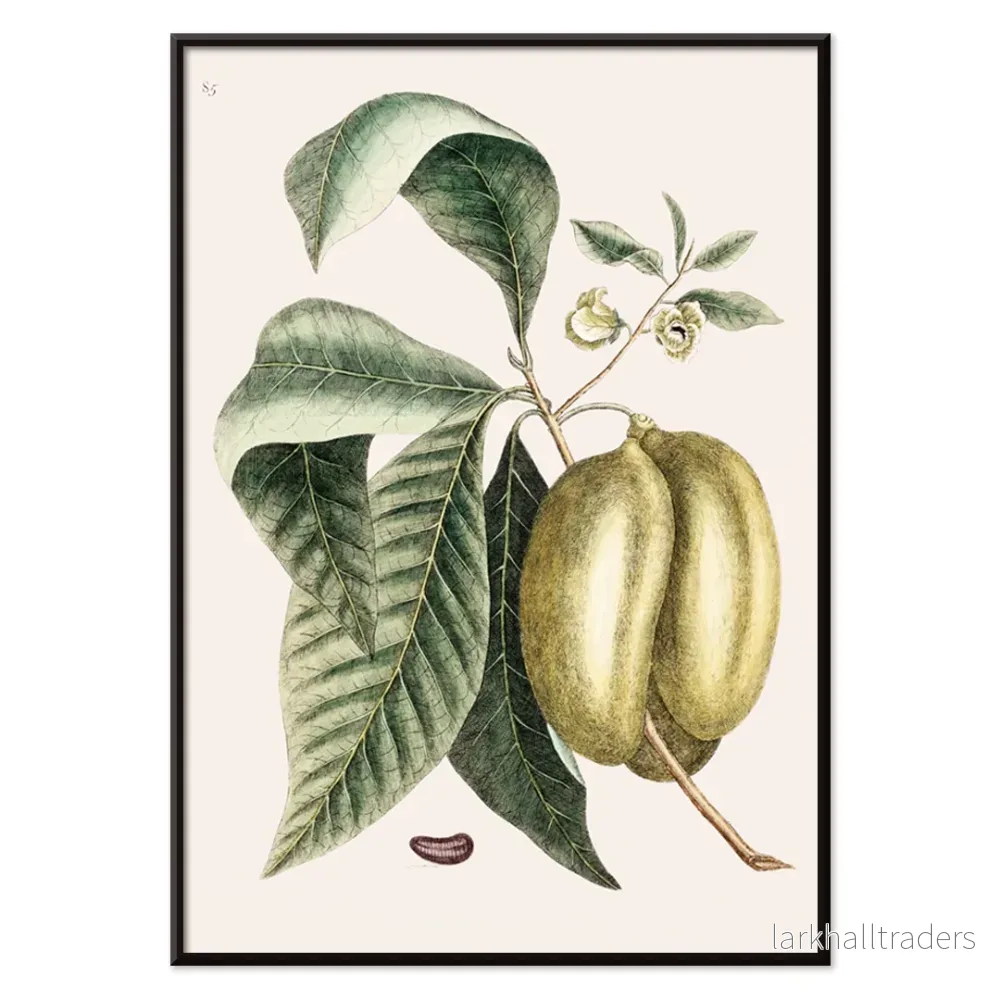 Pawpaw Poster - Bild 2
