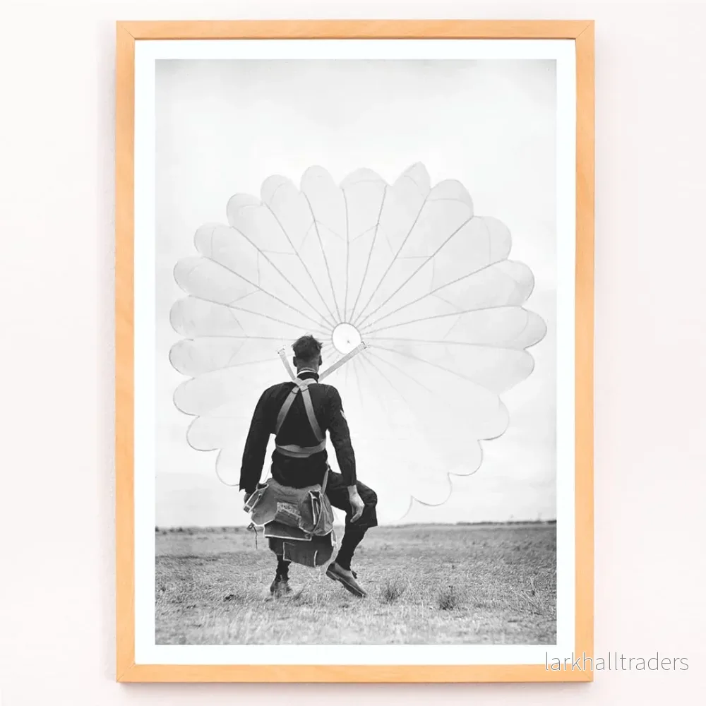 Flygvapnets fallskärmshoppare Poster - Bild 3