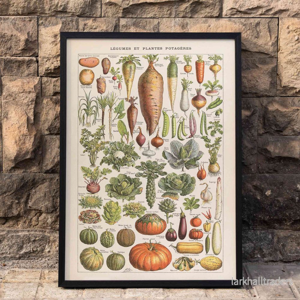 Plantes Potageres Poster