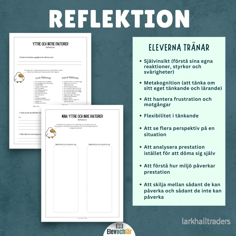 Reflektion - yttre och inre faktorer - Bild 2