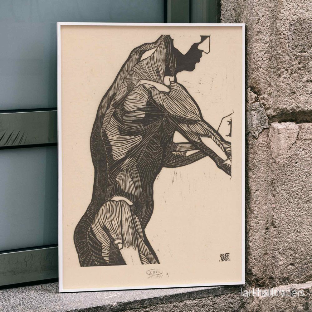 Manlig profil och arm Poster