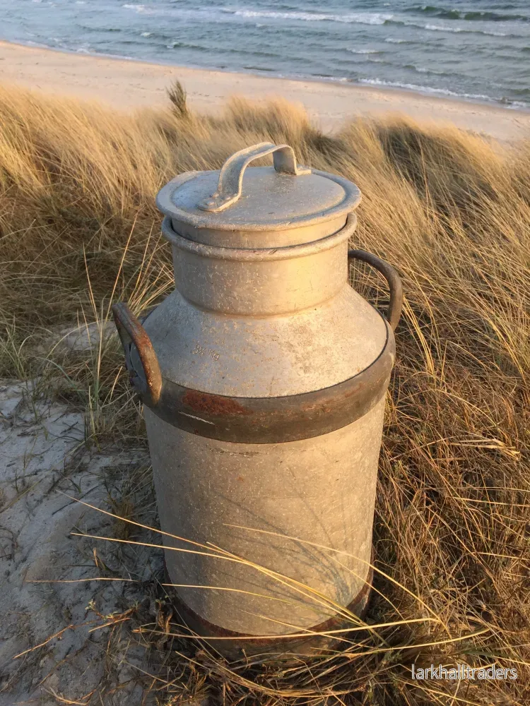 Trevlig och grov gammal mjölkpojke - Bild 3