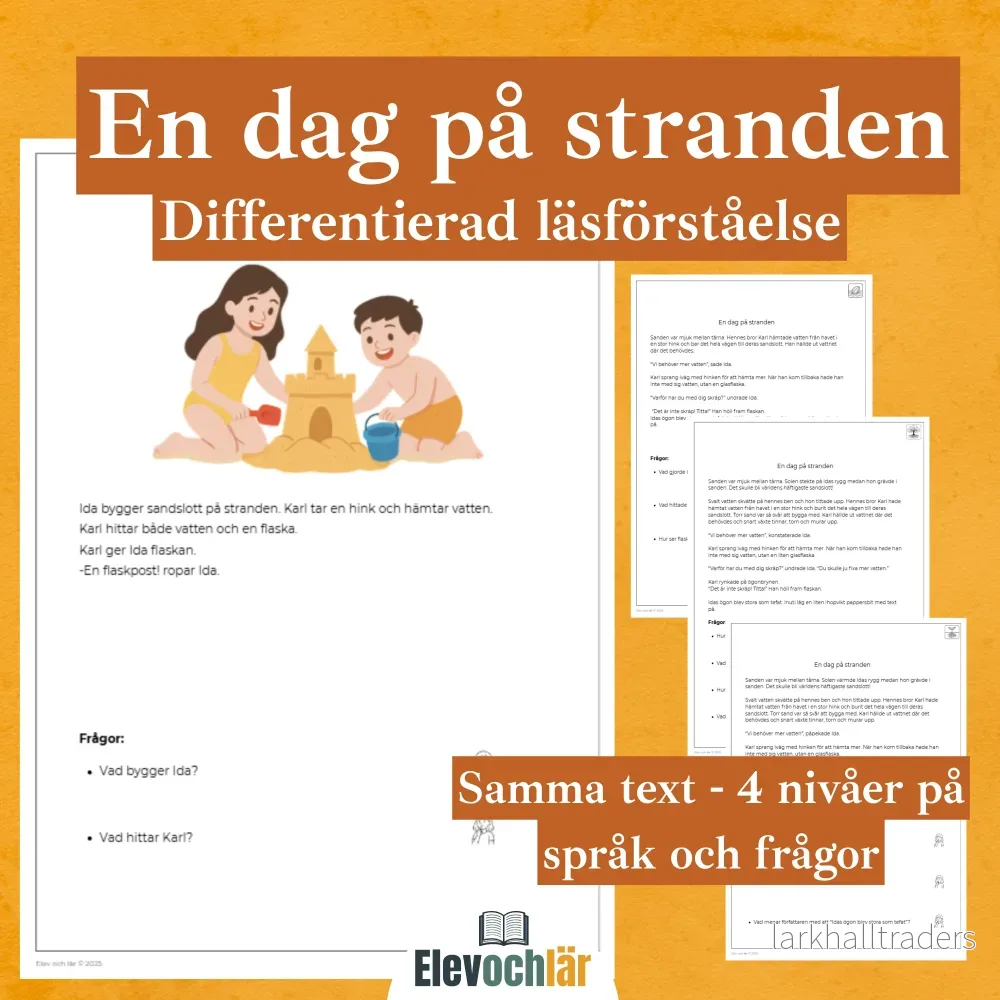 Differentierad läsförståelse – ”En dag på stranden”, samma berättelse i fyra olika nivåer Differentierad läsförståelse – ”En dag på stranden”, samma berättelse i fyra olika nivåer