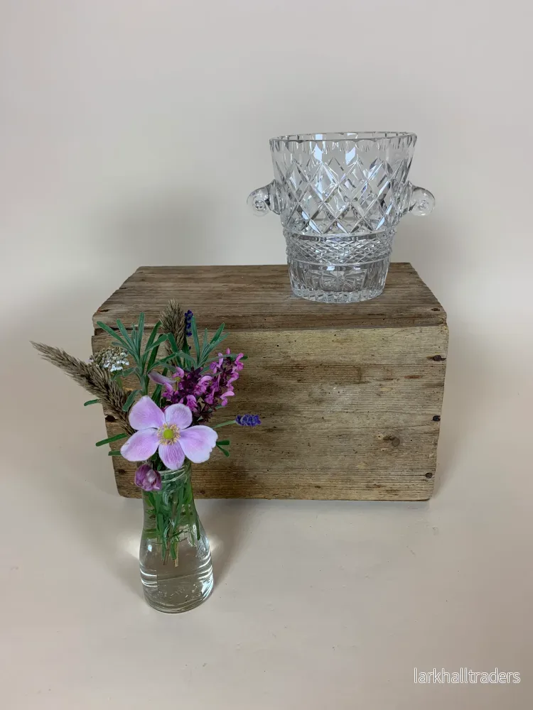 Ishink av glas med öron Ishink av glas med öron