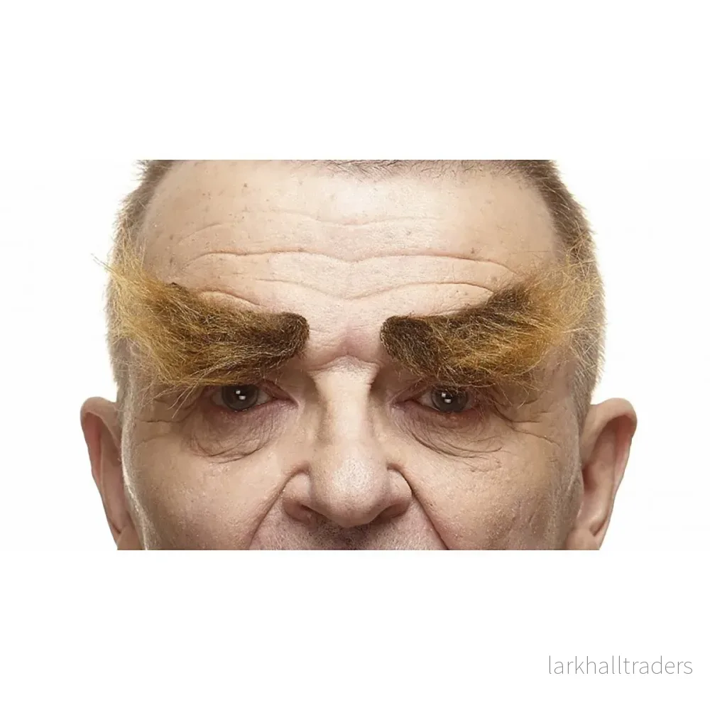Ögonbryn, buskiga bruna Ögonbryn, buskiga bruna