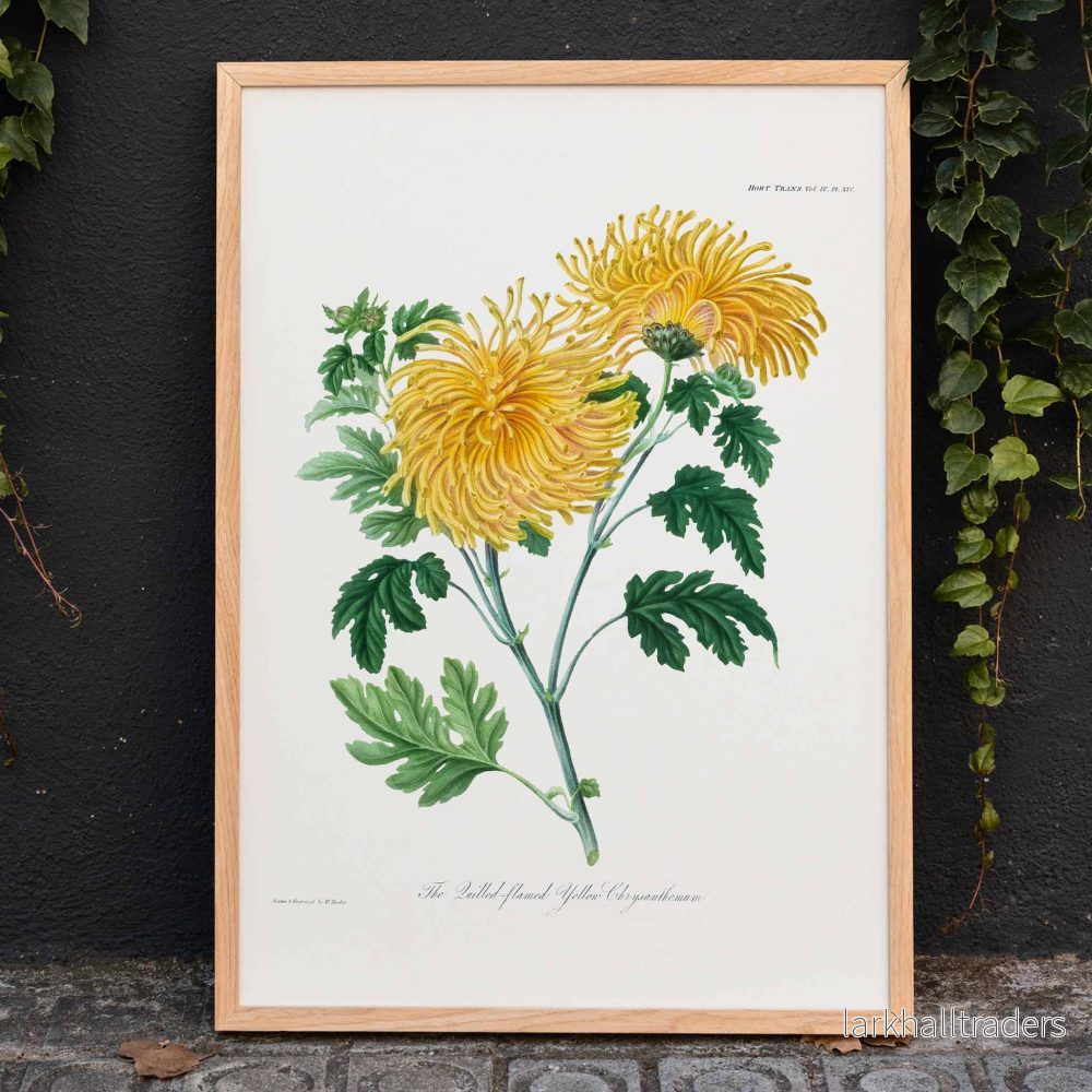 Den stillsamma lågan Poster Den stillsamma lågan Poster