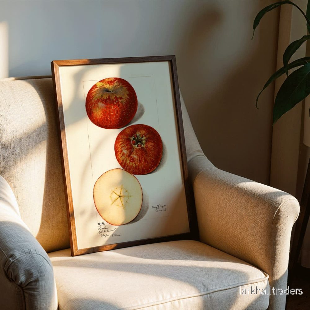 Malus domestica Poster - Bild 3