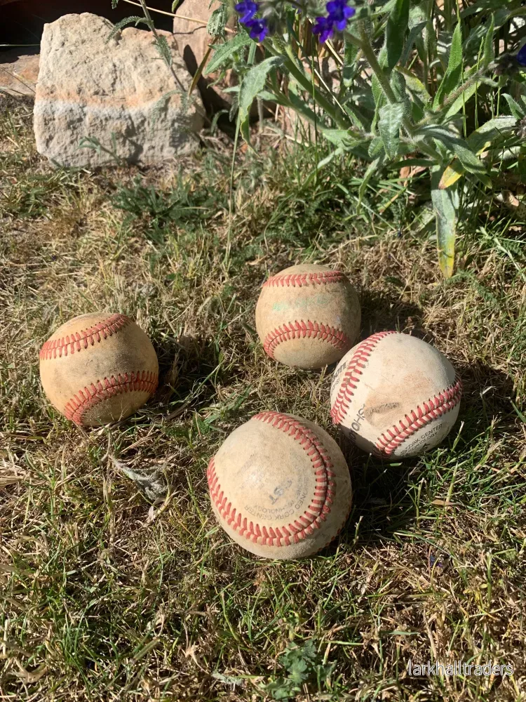 Baseboll