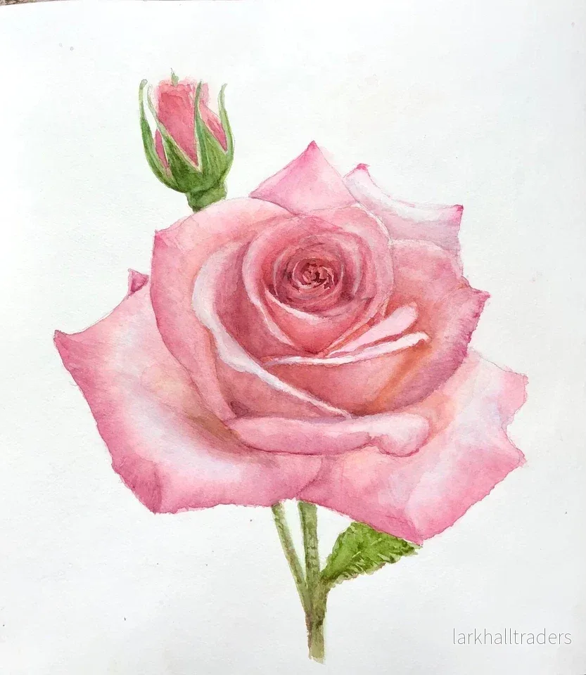 Ny Original akvarell "Pink rose" - Bild 2