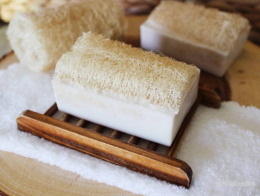 Loofah Kokosnöt Sheasmör Tvålbar