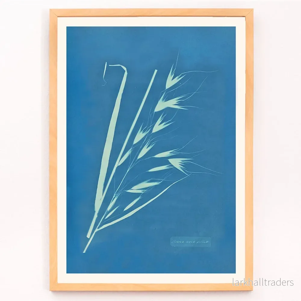 Uvena Novae Villiae Poster - Bild 3