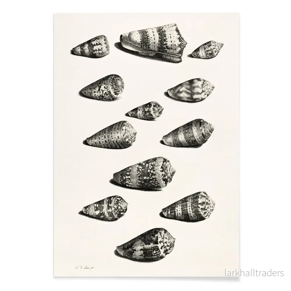 Tolv skal Poster - Bild 2