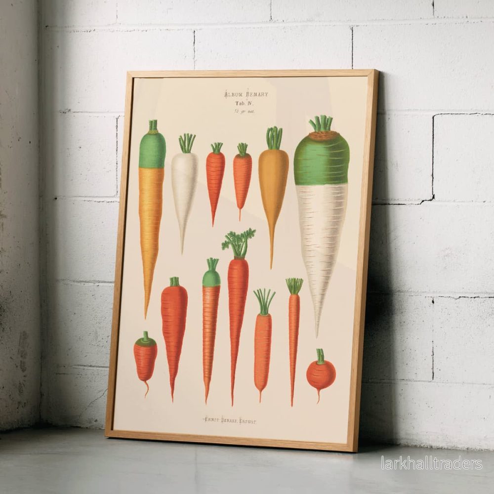 Morötter Poster