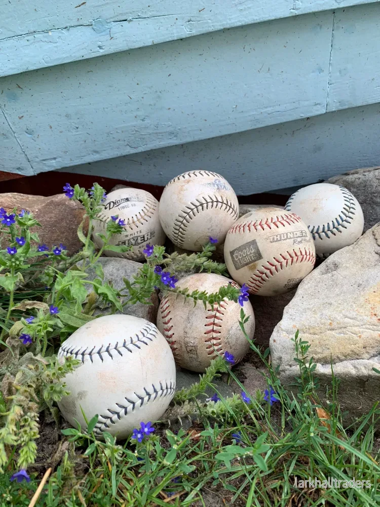 Baseboll
