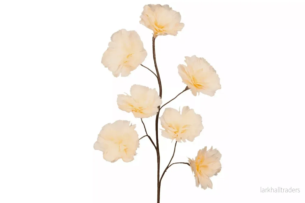 Fjäderblomma Kvist Aprikos