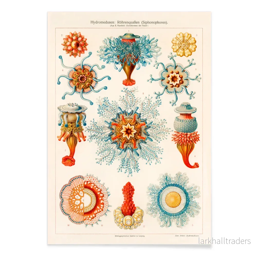 Vintage manetillustration Poster - Bild 2