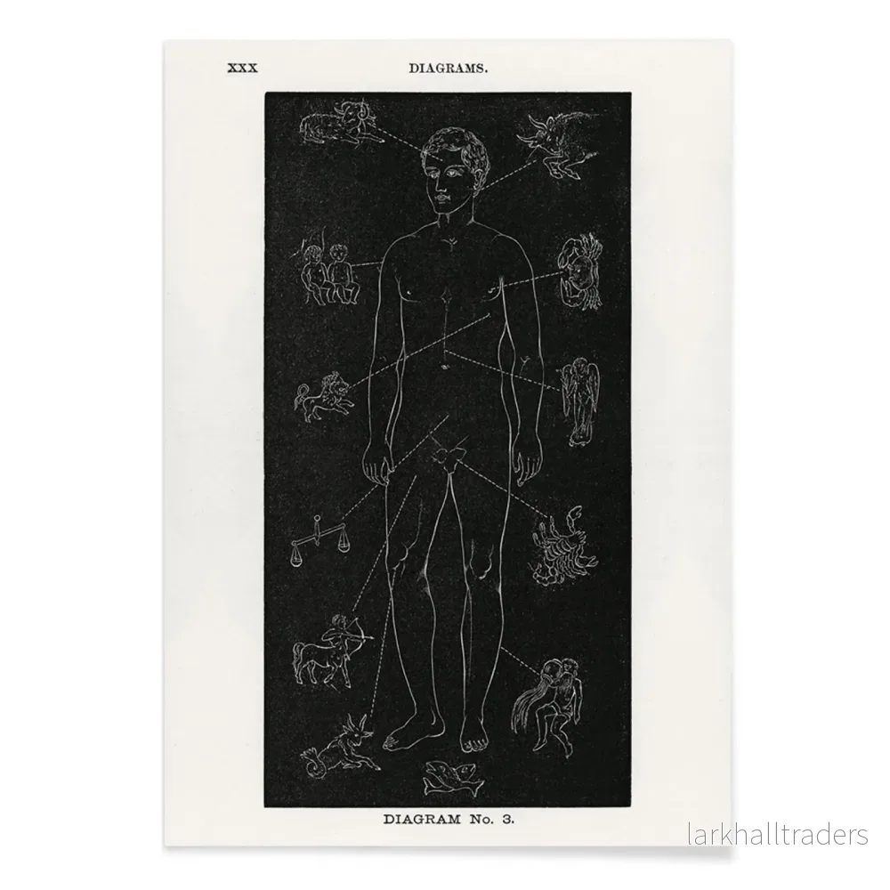 Diagram nr 3 Poster - Bild 2