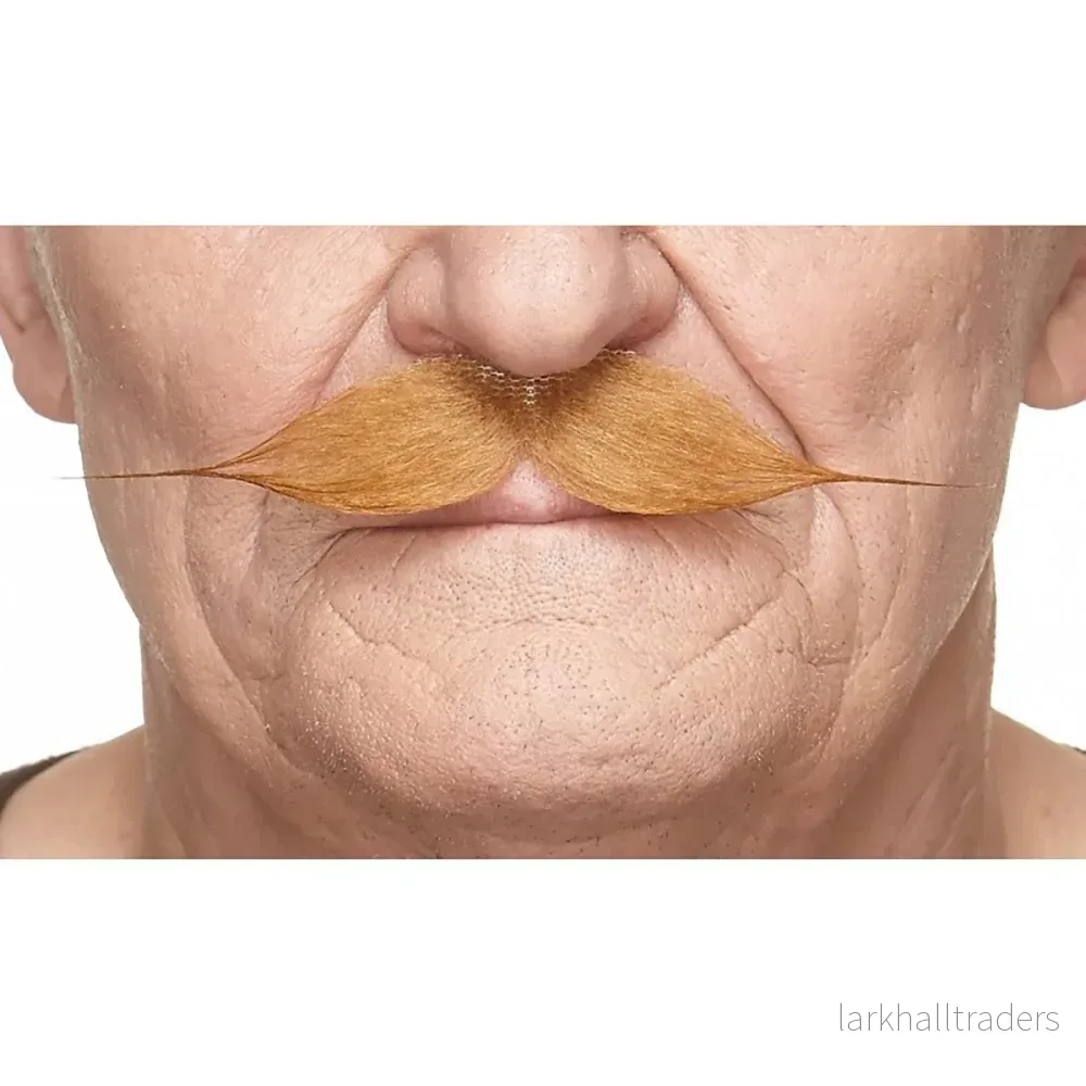 Mustasch, gentleman kastanj Mustasch, gentleman kastanj