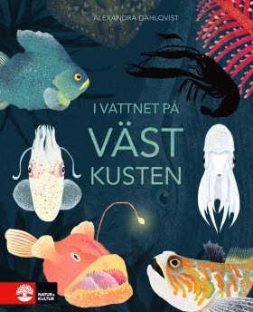 I vattnet på västkusten I vattnet på västkusten