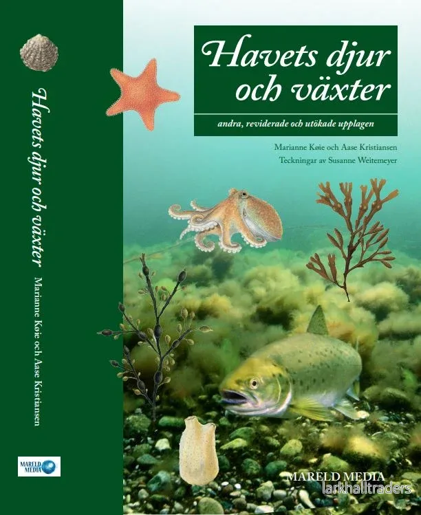 Havets djur och växter Havets djur och växter