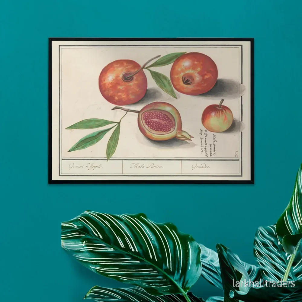 Granatäpple Poster Granatäpple Poster