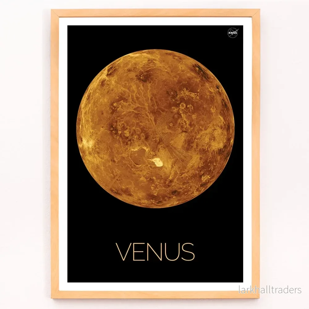 Venus Poster - Bild 3