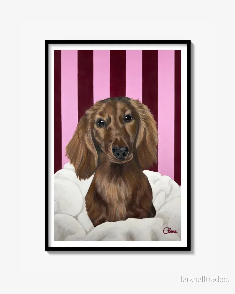 Chic Dachshund Poster