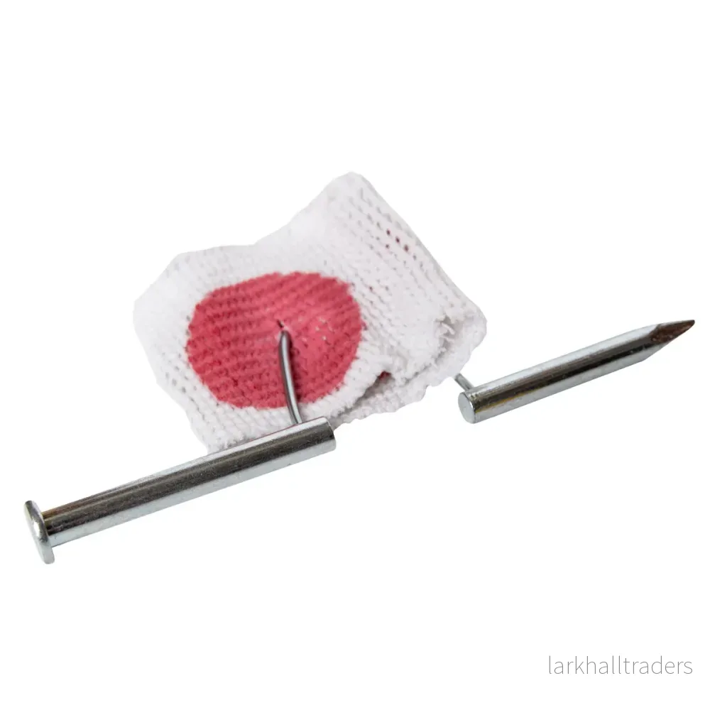 Spiken genom handen - Bild 3