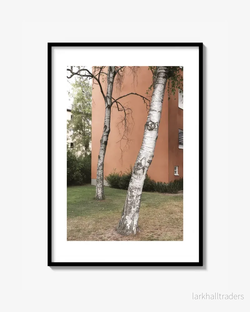 Birch Print
