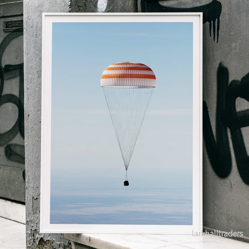 Soyuz MS-02 rymdfarkost Poster