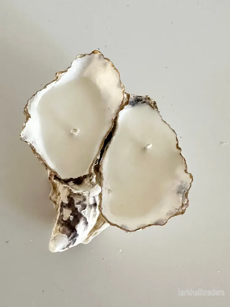 Oyster Twin Ljus / Alex & Elza - Bild 3