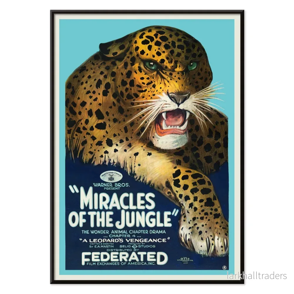 Mirakler i djungeln Poster - Bild 2