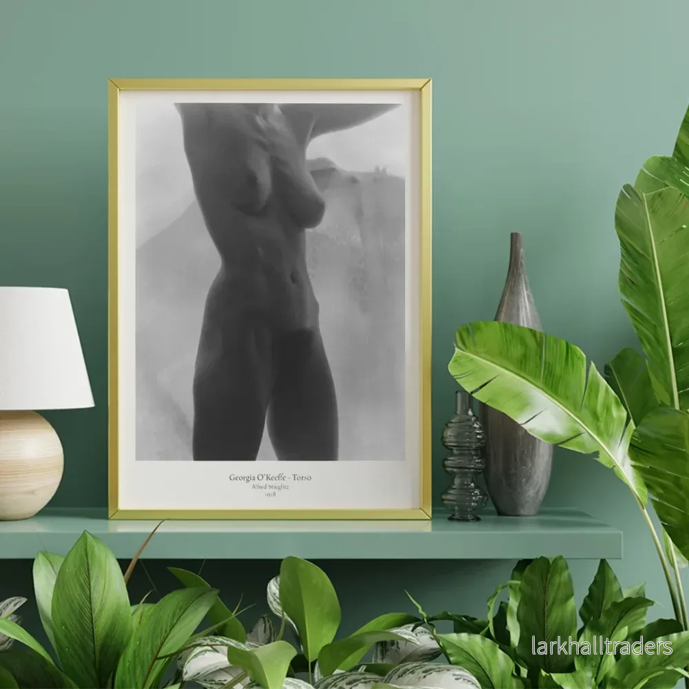 Georgia O’Keeffe torso Poster