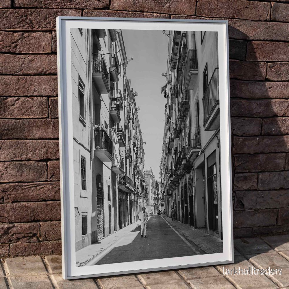 Gata i Barcelona Poster