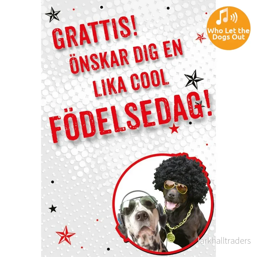 Dubbla kort med ljudeffekt, Cool typ - Bild 2