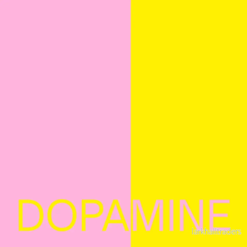 DOPAMINE POSTER - Bild 3