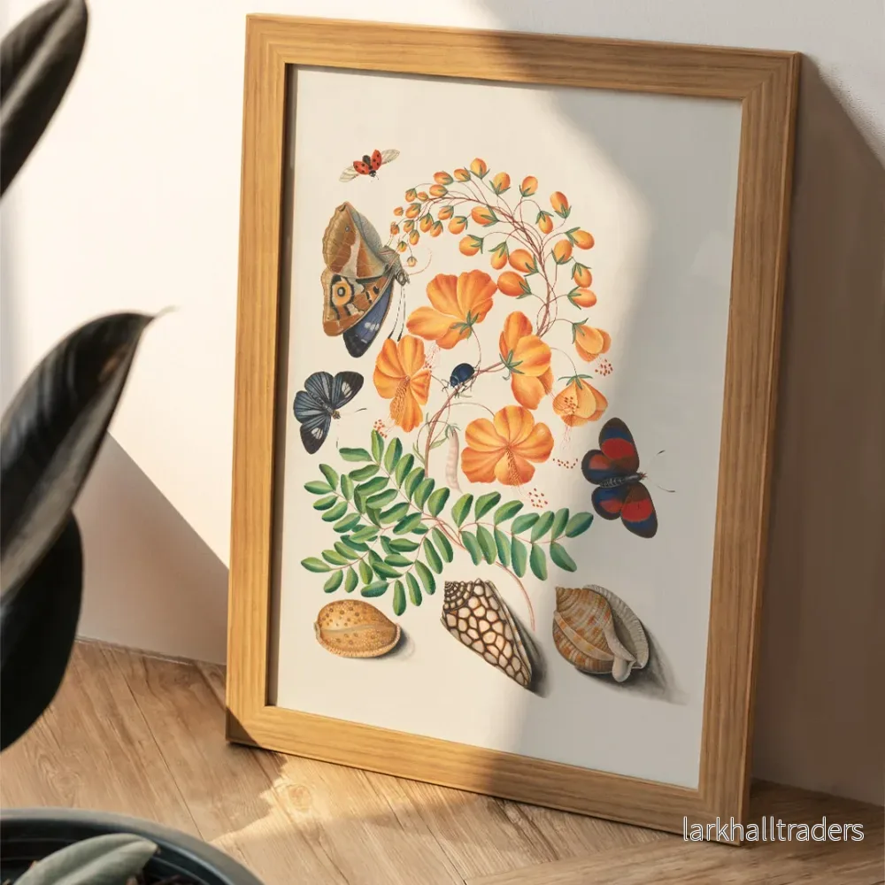 Caesalpinoid Poster Caesalpinoid Poster