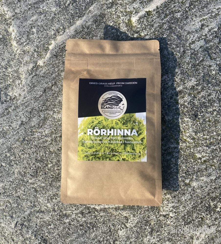 Rörhinna från Bohuslän - Bild 3
