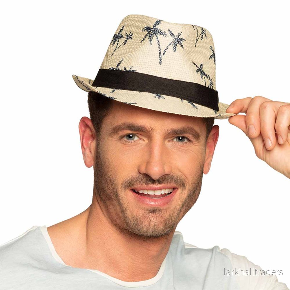 Hatt, palmer - Bild 2