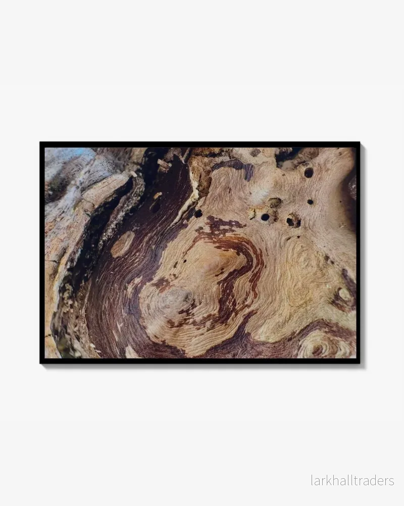 Sylvan Trace - Foto Poster Print - Bild 3