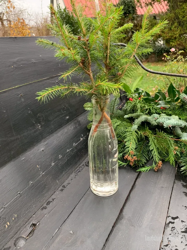 Rolig mjölkflaska med mönster 1/2 L - Bild 2