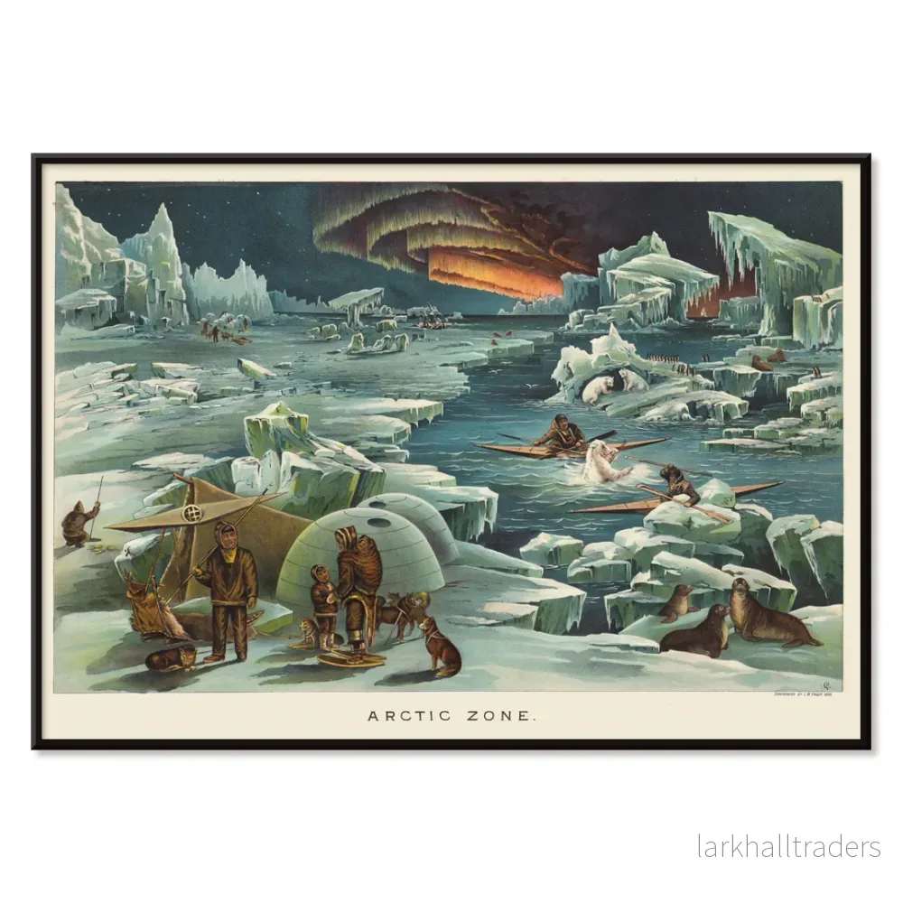 Arktisk zon Poster - Bild 2