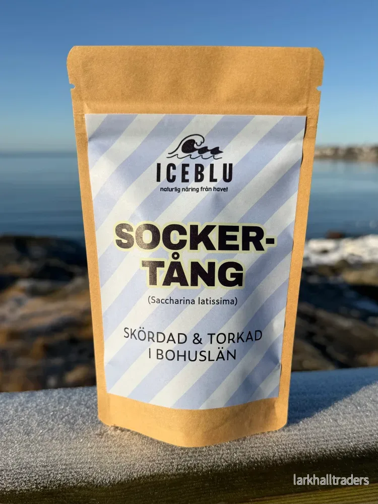 Sockertång från västkusten - Bild 3